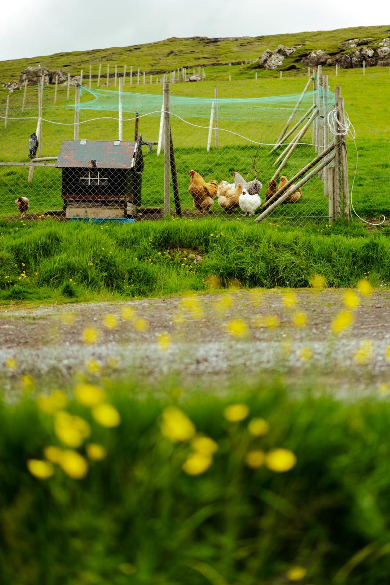 A Snaetu - Serene Village Stay Surrounded By Nature Sandavagur Екстер'єр фото